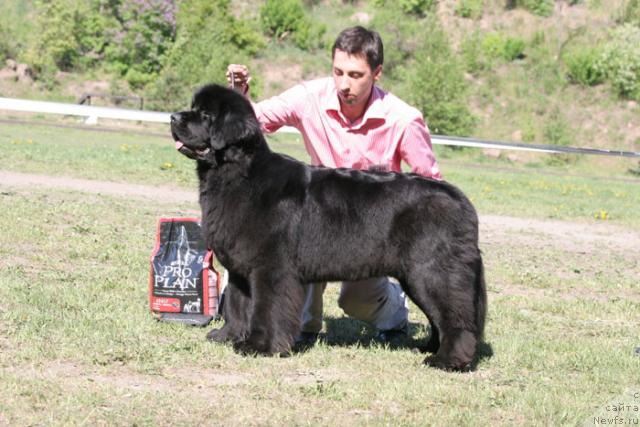 Фотография № 28004