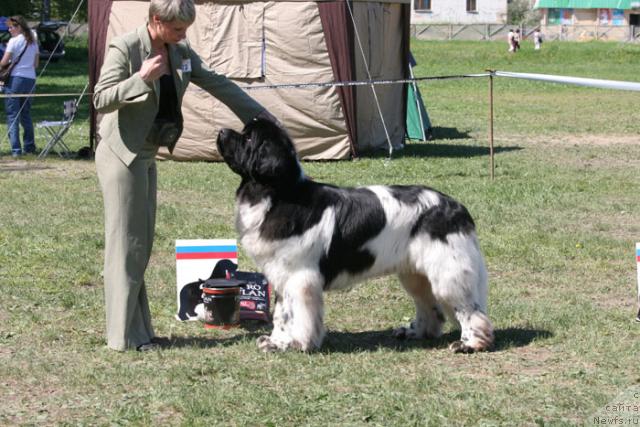 Фотография № 28005