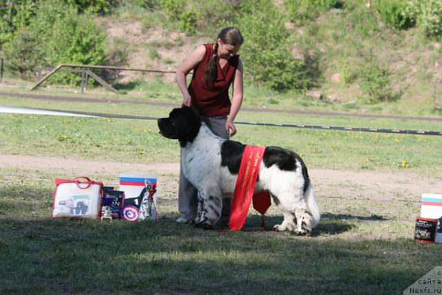 Фотография № 28006