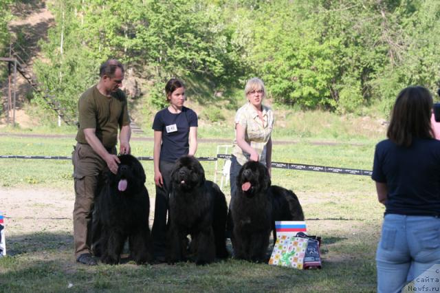 Фото: Питомник 