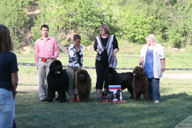 Фотография № 28014