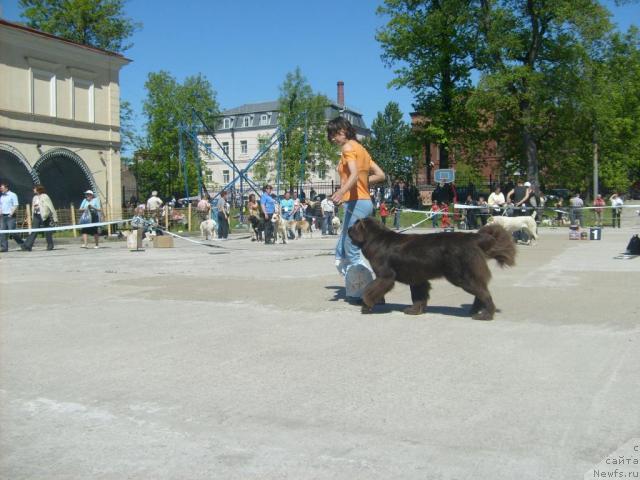 Фотография № 28016