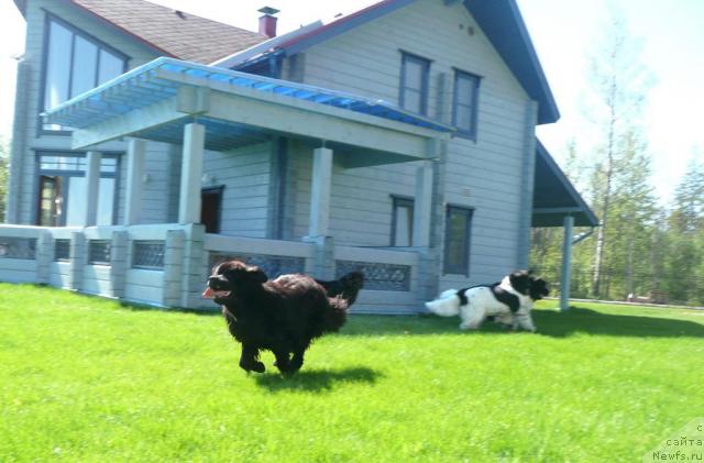 Фотография № 28018