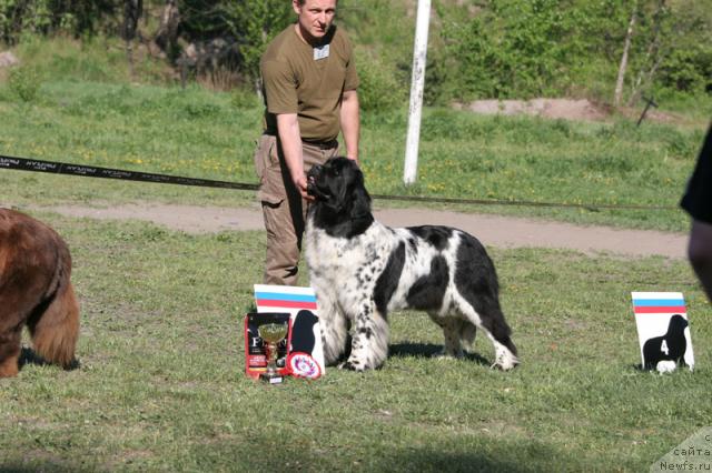 Фотография № 28028