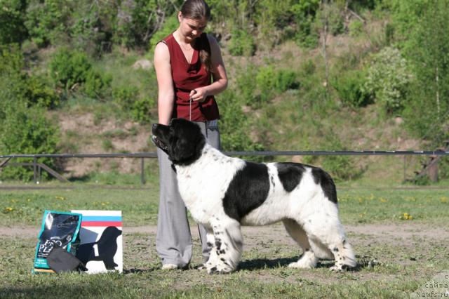 Фотография № 28030