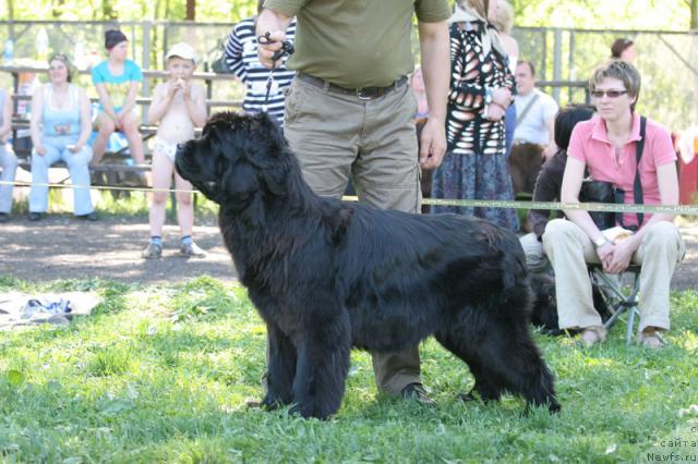 Фотография № 28035