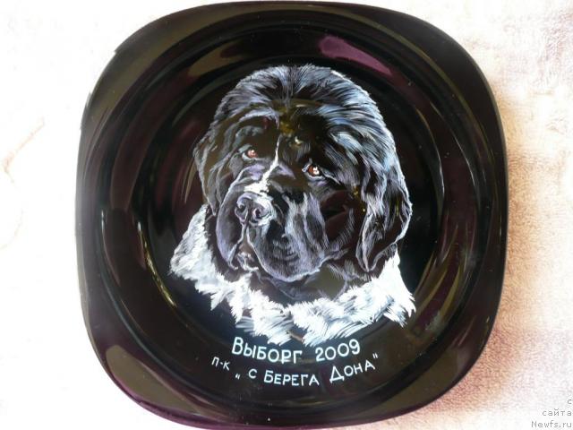 Фотография № 28038