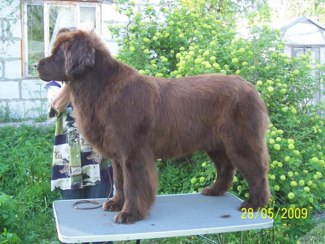 Фотография № 28101