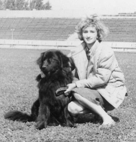 Фото: ньюфаундленд Клеменц Крициаль