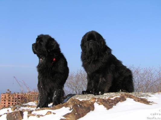 Фотография № 2814