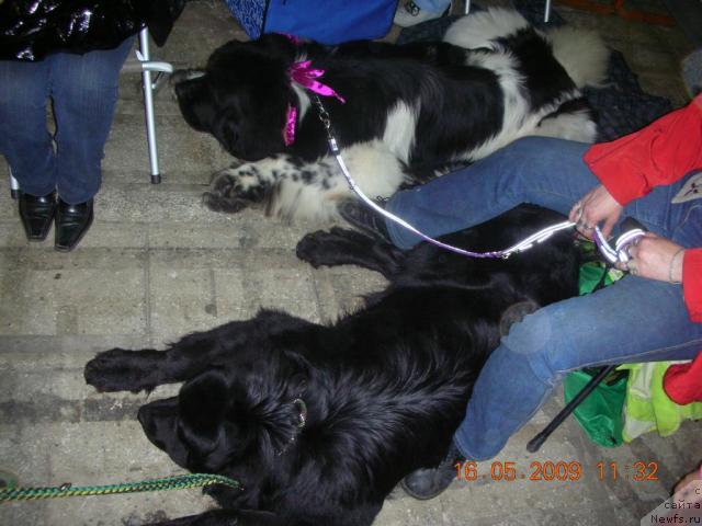 Фотография № 28144