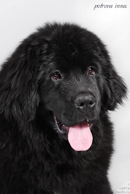 Фотография № 28176