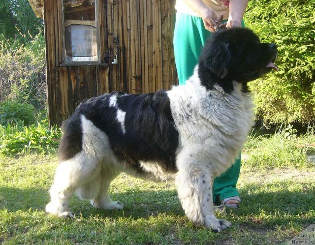 Фотография № 28248