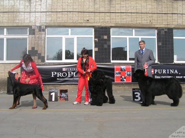 Фотография № 28266