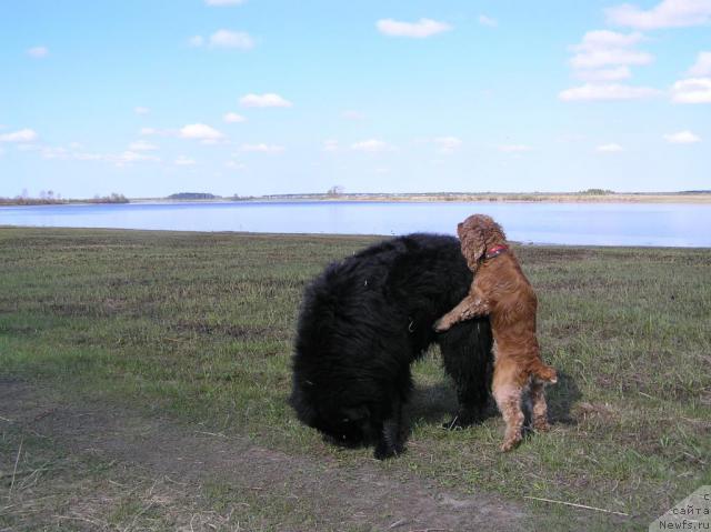 Фотография № 28275