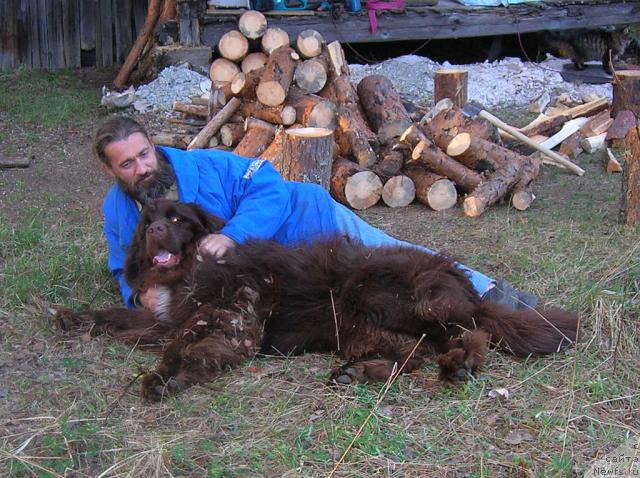 Фото: ньюфаундленд Do Sing With Deejay de L'Etoile de Cyrice, Александр Жаков