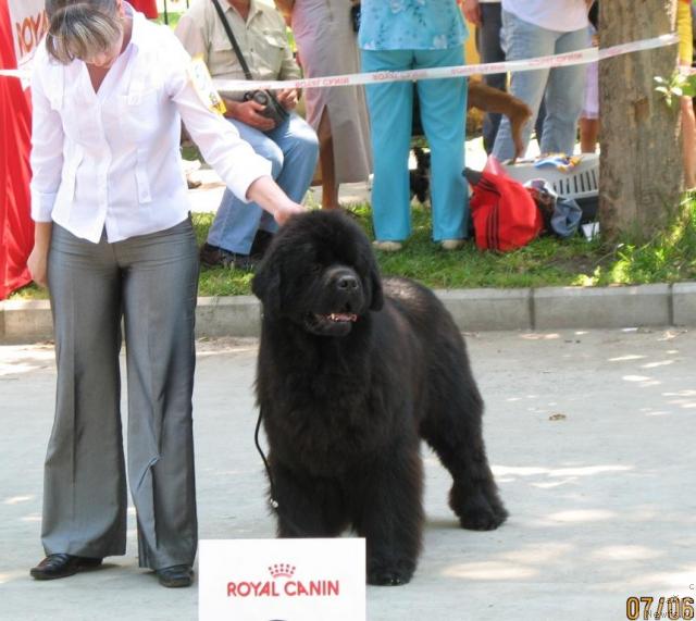 Фотография № 28305