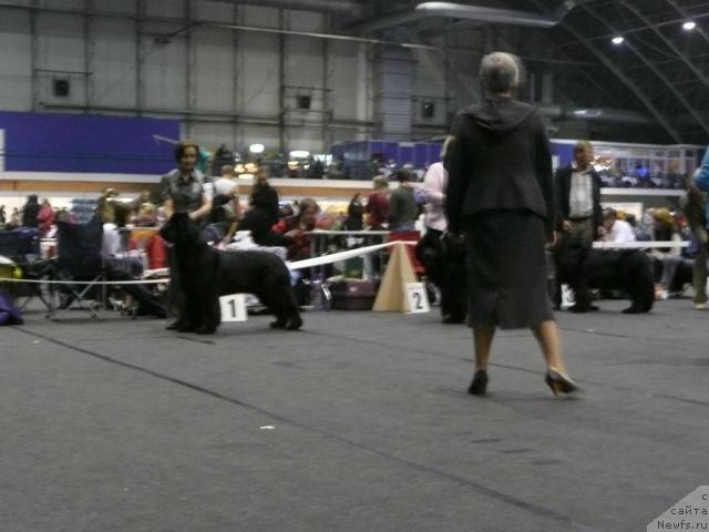 Фото: Ольга Королева