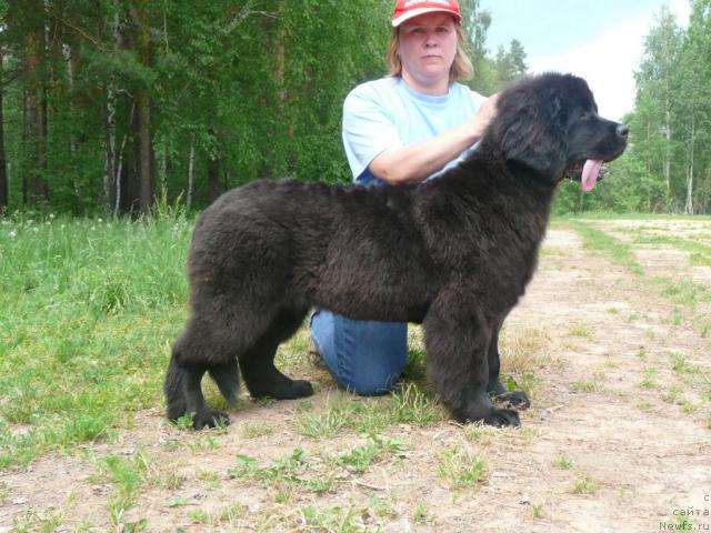 Фотография № 28406