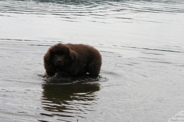 Фото: Геннадий Узунов