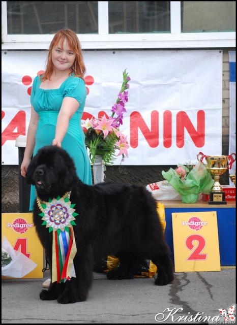 Фотография № 28436