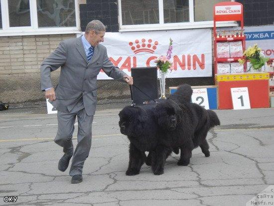 Фотография № 28437