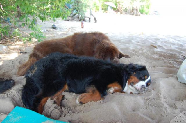 Фотография № 28453