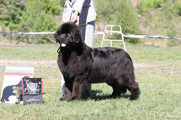 Фотография № 28471