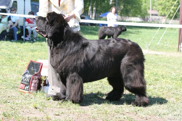 Фотография № 28473