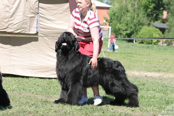 Фотография № 28475