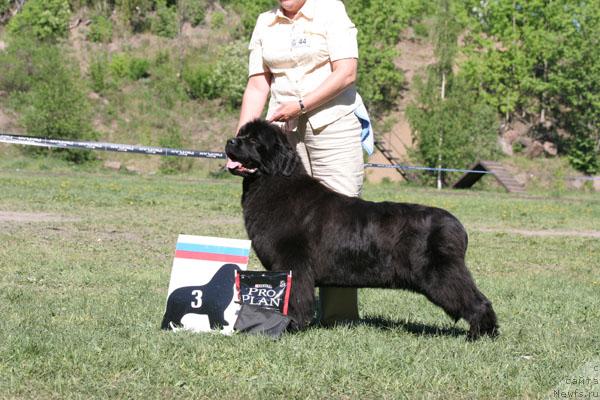 Фотография № 28477