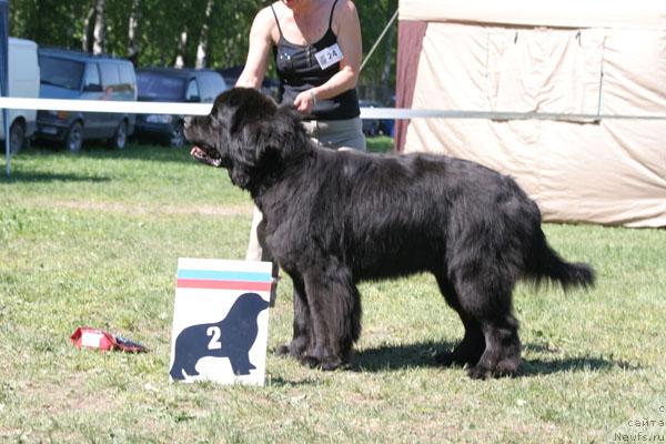 Фотография № 28479