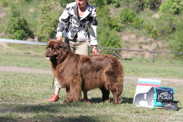 Фотография № 28481