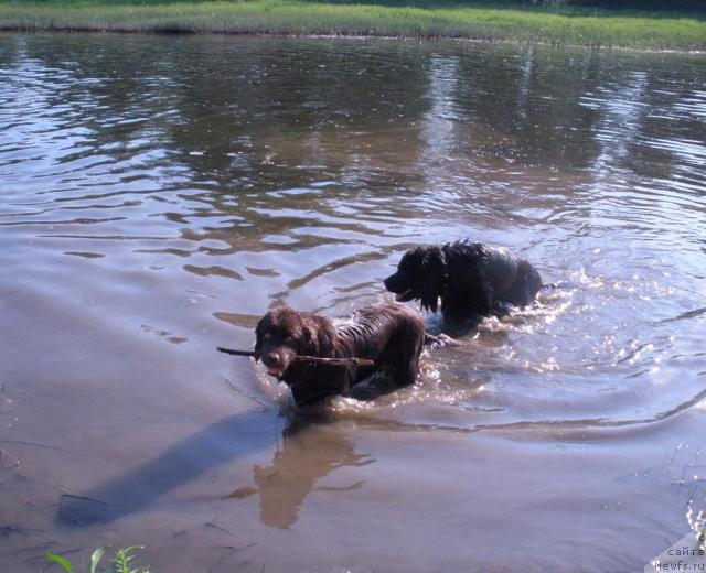 Фотография № 28491