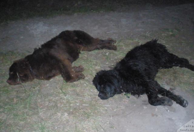 Фотография № 28492