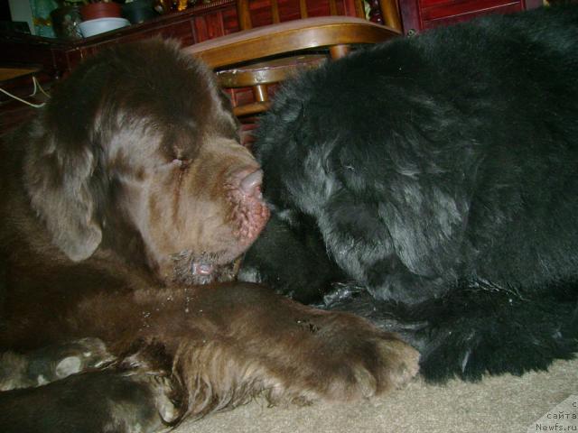 Фотография № 28517