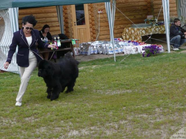 Фотография № 28522