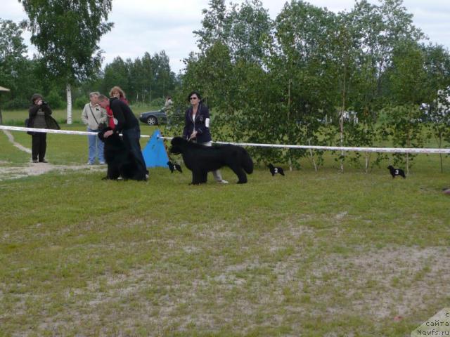 Фотография № 28523