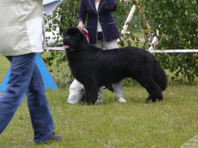 Фотография № 28529