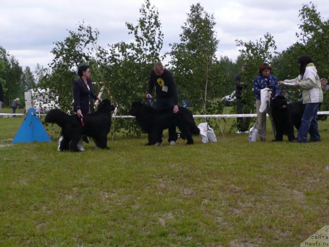 Фотография № 28530