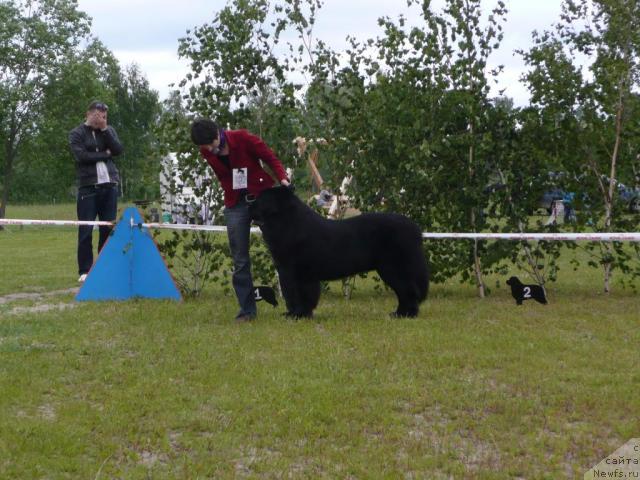 Фотография № 28531