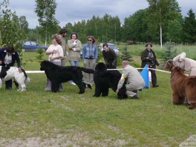 Фотография № 28537