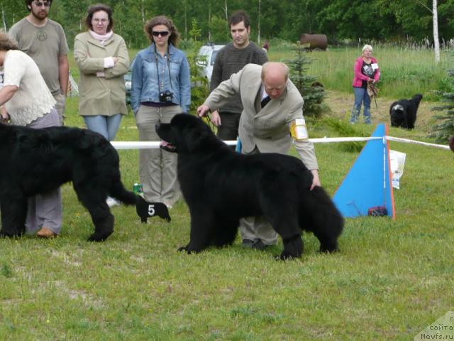 Фотография № 28538