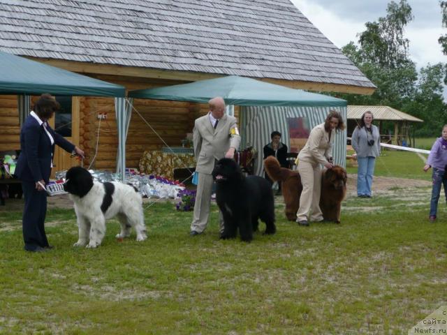 Фотография № 28541