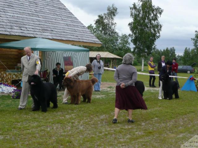 Фотография № 28542