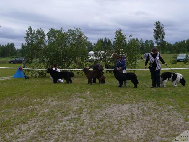 Фотография № 28547