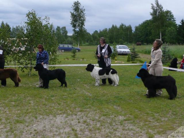 Фотография № 28551