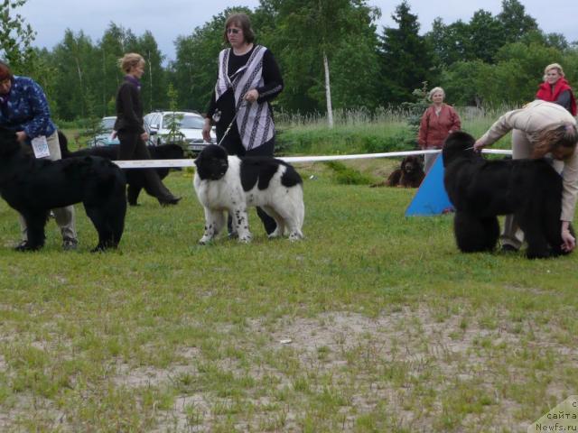 Фотография № 28553