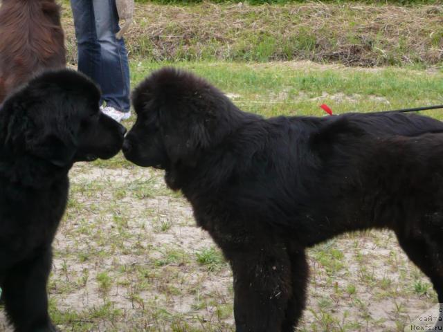 Фотография № 28554