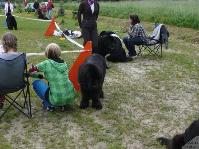 Фотография № 28556